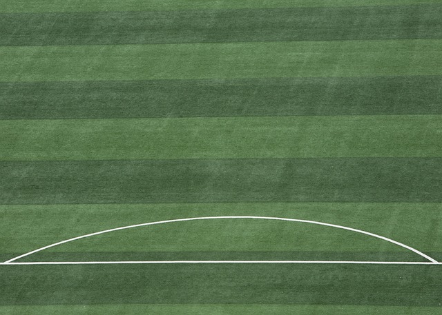 而是从未放 而是从未放