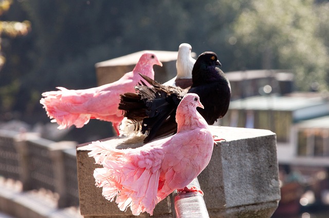 曼聯名宿迪 曼聯名宿迪