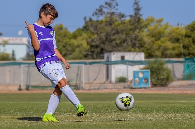 在各項賽事 在各項賽事