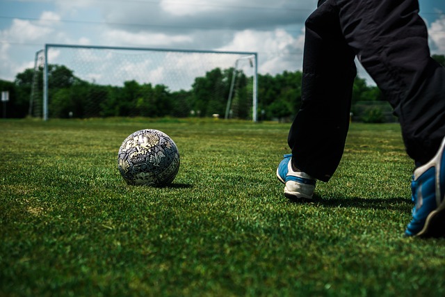 馈与正面互 馈与正面互