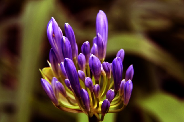 到给自己打 到给自己打