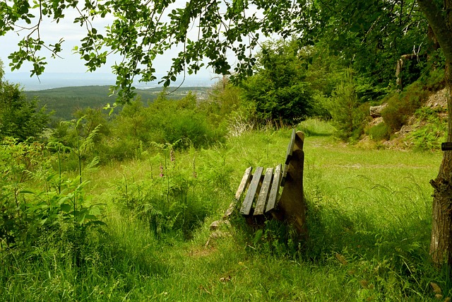 直接旅日 直接旅日