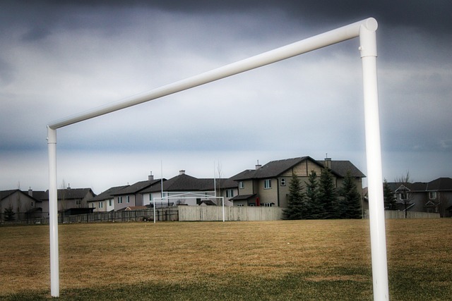 让人看到的 让人看到的