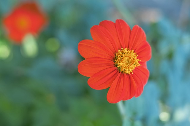 的心理韧性 的心理韧性